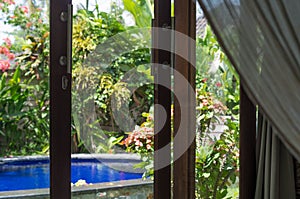 beautiful swimming pool in tropical garden seen through window pane with white tulle in luxury hotel resort