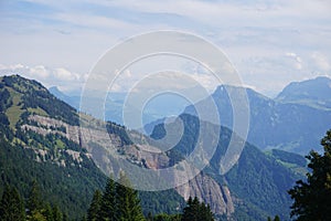 Beautiful Swiss Alps mountain landscape with pine trees in foreground