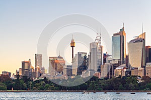 Beautiful Sydney City skyline at sunset