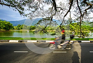 Beautiful Taiping Lake Gardens