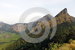 beautiful tall high rock mountain with valley of tea farm top view in kerala india