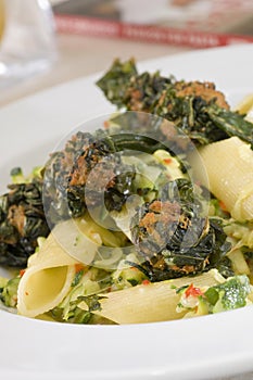 Beautiful tastey of Penne pasta with spinach on white plate. Close up