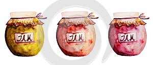 Beautiful Tasty Appetizing Jam Jars with Fruit Jam. Hand Drawn W