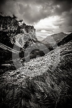 Beautiful Tatry mountains landscape in black and white