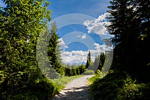 Beautiful Tatry Rusinowa Polana landscape