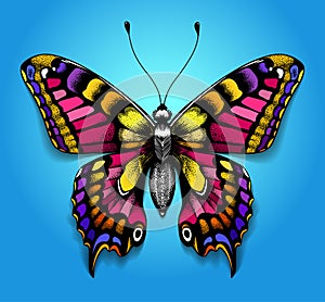 Beautiful tattoo for your chest. Bright colorful butterfly on blue background. Tropical realistic Machaon butterfly.