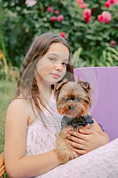 Beautiful teen girl with a dog in her hands