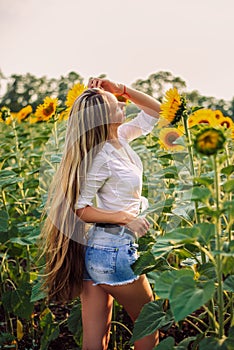 Beautiful Teenage Model girl with long healthy hair posing on the Sunflower Spring Field