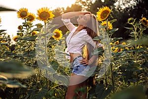 Beautiful Teenage Model girl with long healthy hair posing on the Sunflower Spring Field