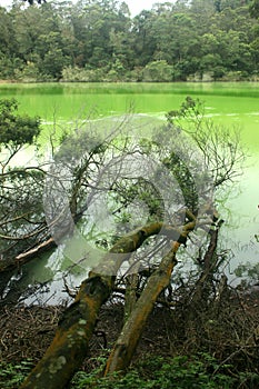 beautiful Telaga Warna lake tourism object