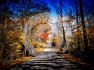 Beautiful Tennessee fall walk