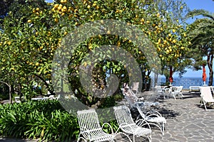 Beautiful Terrace with lemon trees overlooking the sea in Sorrento Italy