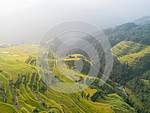 Beautiful terrace rice field