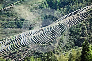 Beautiful terraced fields