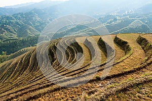 Beautiful terraced fields scenery