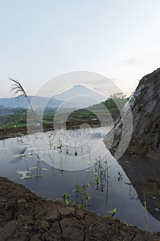 Beautiful terraced rice fields in the Kajoran Village with Mountain