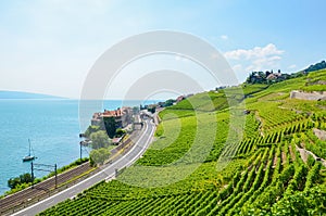 Beautiful terraced vineyards on slopes by Geneva Lake, Switzerland. Famous Lavaux wine region, UNESCO Heritage. Rivaz in