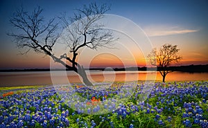 Beautiful Texas spring sunset over a lake