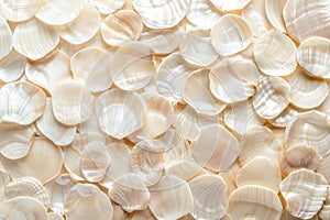 Beautiful texture from mother of pearl shell mosaic as nature background