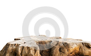 Beautiful texture of old tree stump table top on white background photo