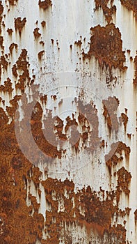 Beautiful texture with rust in relief, amazing artistic rust