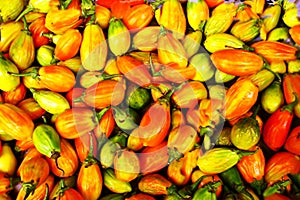 JilÃÂ³ forming texture.