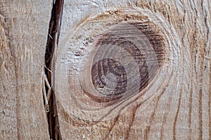 Beautiful texture of a tree with a knot in the section, taken close-up