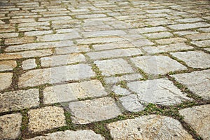 beautiful textured background of cobblestone pavement with grass