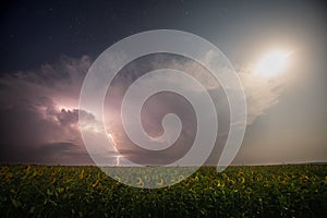 Beautiful thunderstorm with clouds, lightning and moon over a field with sunflowers at night