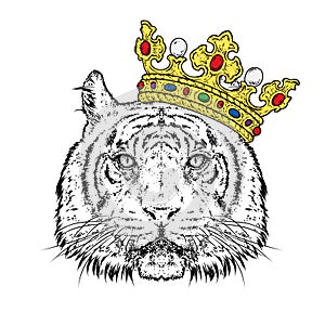 Beautiful tiger in the crown. Vector illustration for a postcard or a poster, print for clothes. Predator.