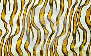 Beautiful tiger fur texture