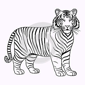 Beautiful Tiger line art coloring pages photo