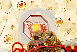 Beautiful tiger sign with chinese astrological signs and lucky coins like the year of tiger concept