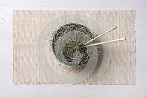 Beautiful tillandsia plants in bowl as Asian noodles on white wooden table, top view. House decor