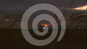 Beautiful timelapse of the setting sun over the field. far rain clouds and colorful sunset clouds in a blue sky over the