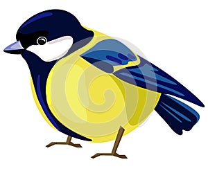 Beautiful titmouse Bird isolated on white background. Vector illustration. Tomtit, Sparrow, Bullfinch