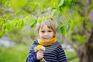 Beautiful toddler blond child, cute boy, lying in the grass