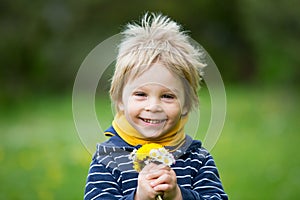 Beautiful toddler blond child, cute boy, lying in the grass