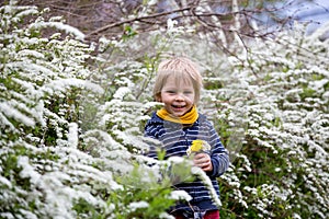 Beautiful toddler blond child, cute boy, lying in the grass