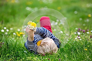 Beautiful toddler blond child, cute boy, lying in the grass