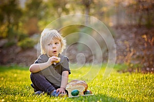 Beautiful toddler boy, eating sweet bread and eggs in garden on sunset, little chicks running around