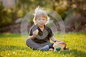 Beautiful toddler boy, eating sweet bread and eggs in garden on sunset, little chicks running around