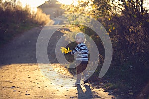 Beautiful toddler boy, walking on rural path on sunset, backlit