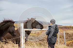 Beautiful toddler child with dad, fondle horses in the nature, early in the morning on a windy autumn day