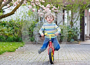 Beautiful toddler child driving his first bike or laufrad