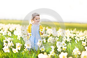 Beautiful toddler girl field of white daffodil flowers