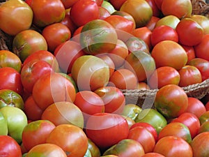 Beautiful tomatoes delicious red fruit tasty natural photo