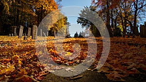 Beautiful stone tomb graves in a cemetery during the fall autumn season. Many orange leaves in the ground. Halloween