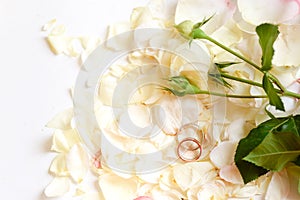 Beautiful toned picture with wedding rings lie on white against the background of flowers