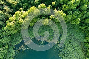 Beautiful top down aerial view of a lake in Moletai region, famous or its lakes